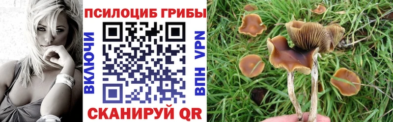 ссылка на мегу зеркало  Калуга  Псилоцибиновые грибы мухоморы  что такое наркотик 